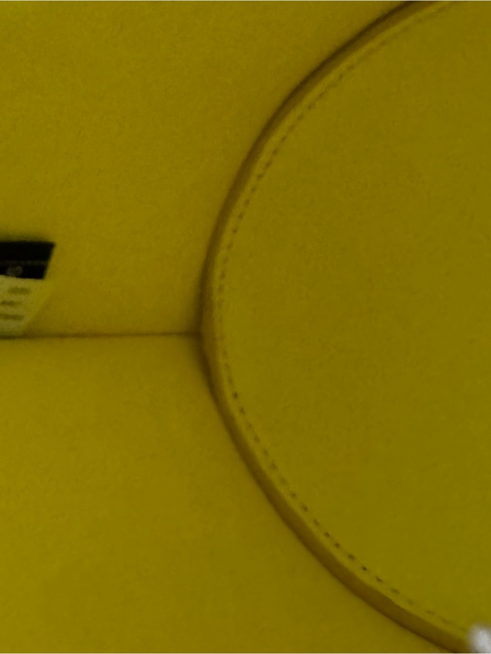🦜 Kate Spade Parrot Crossbody – Serving Looks, Not Seeds - Picture 10 of 12